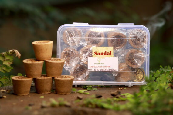 Sandal Cup Dhoop